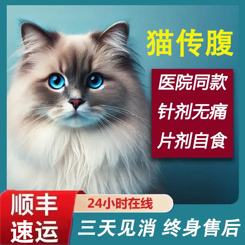 干性猫传腹怎么确诊(干性猫传腹最明显的症状)