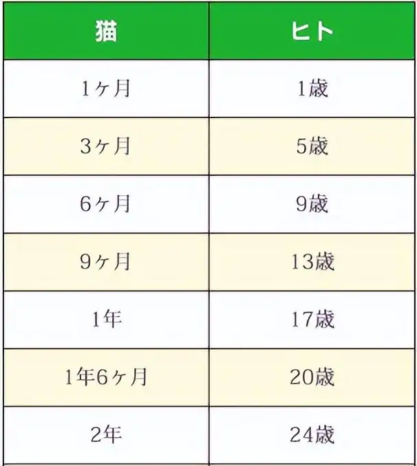 猫寿命一览表(猫寿命一览表最新)