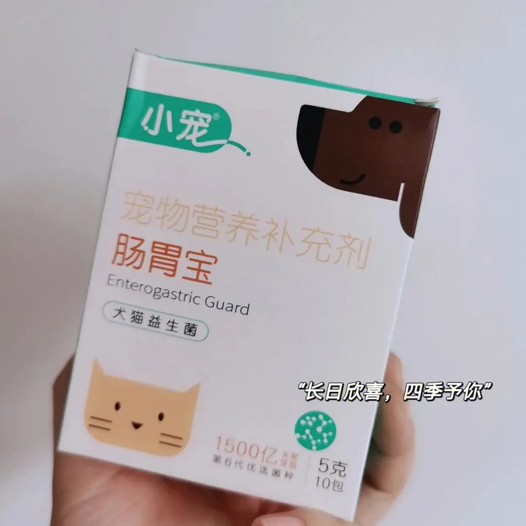 猫拉便秘怎么办(猫便秘拉稀怎么办)