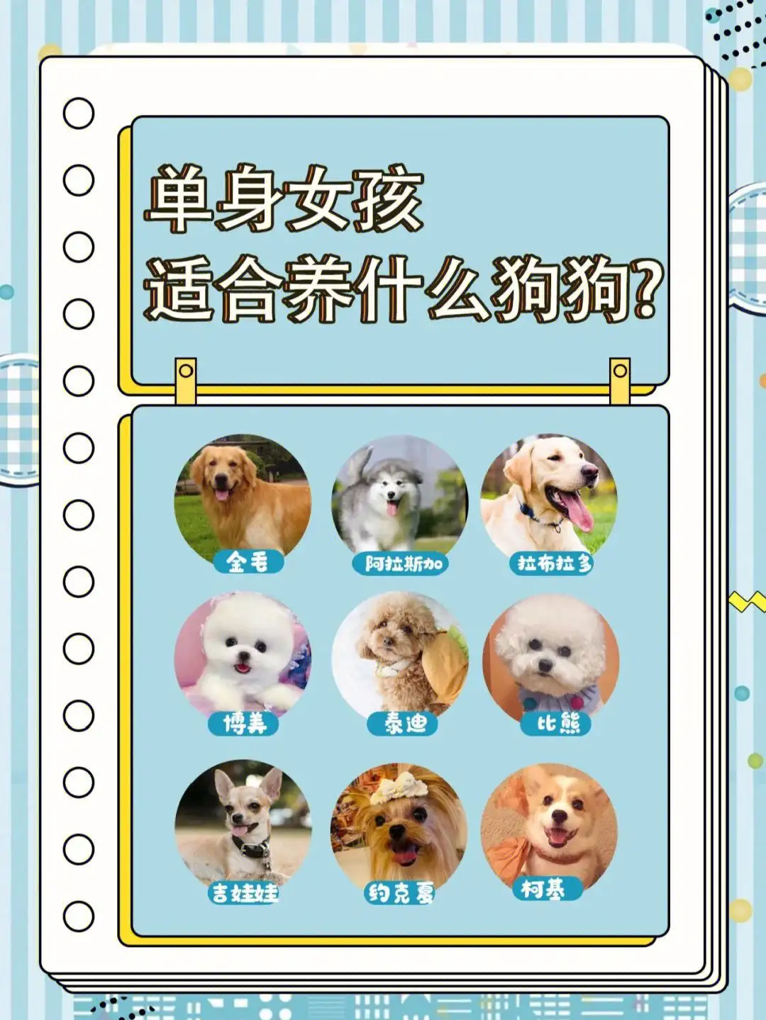 狗狗几岁养比较合适(狗狗几岁养比较合适幼犬)