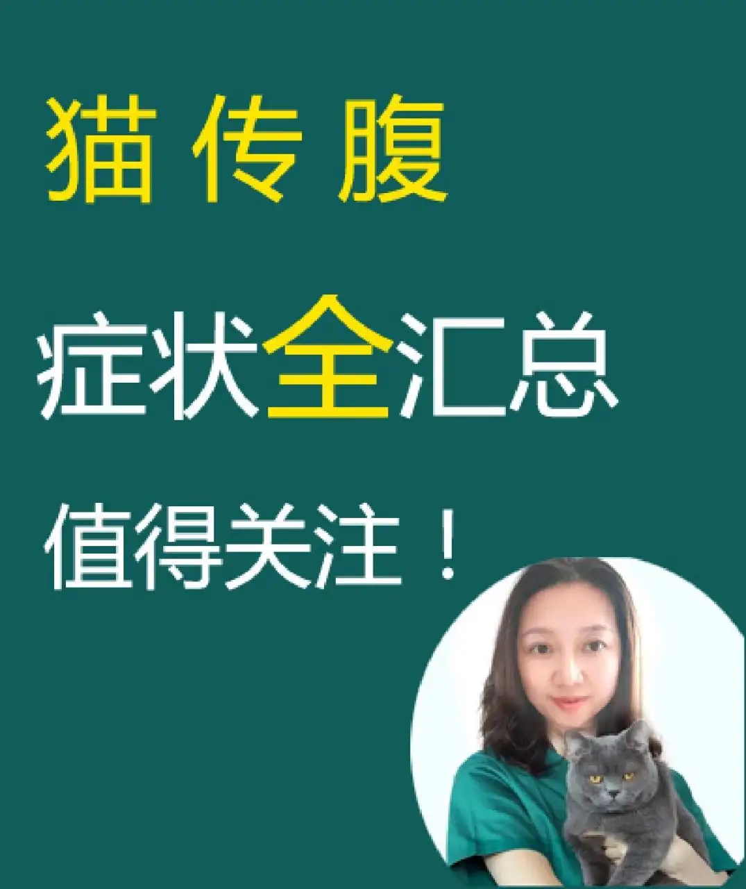 关于猫传腹是怎么样的症状的信息