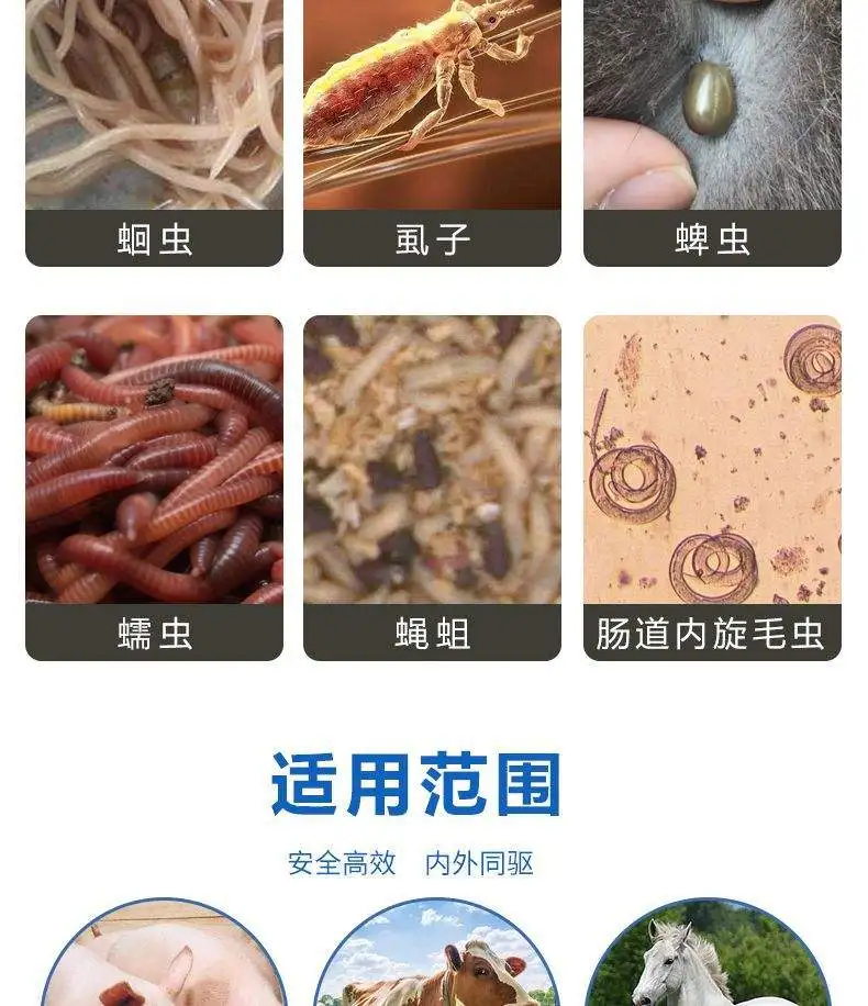 狗狗驱虫伊维菌素(狗狗用伊维菌素注射的效果)