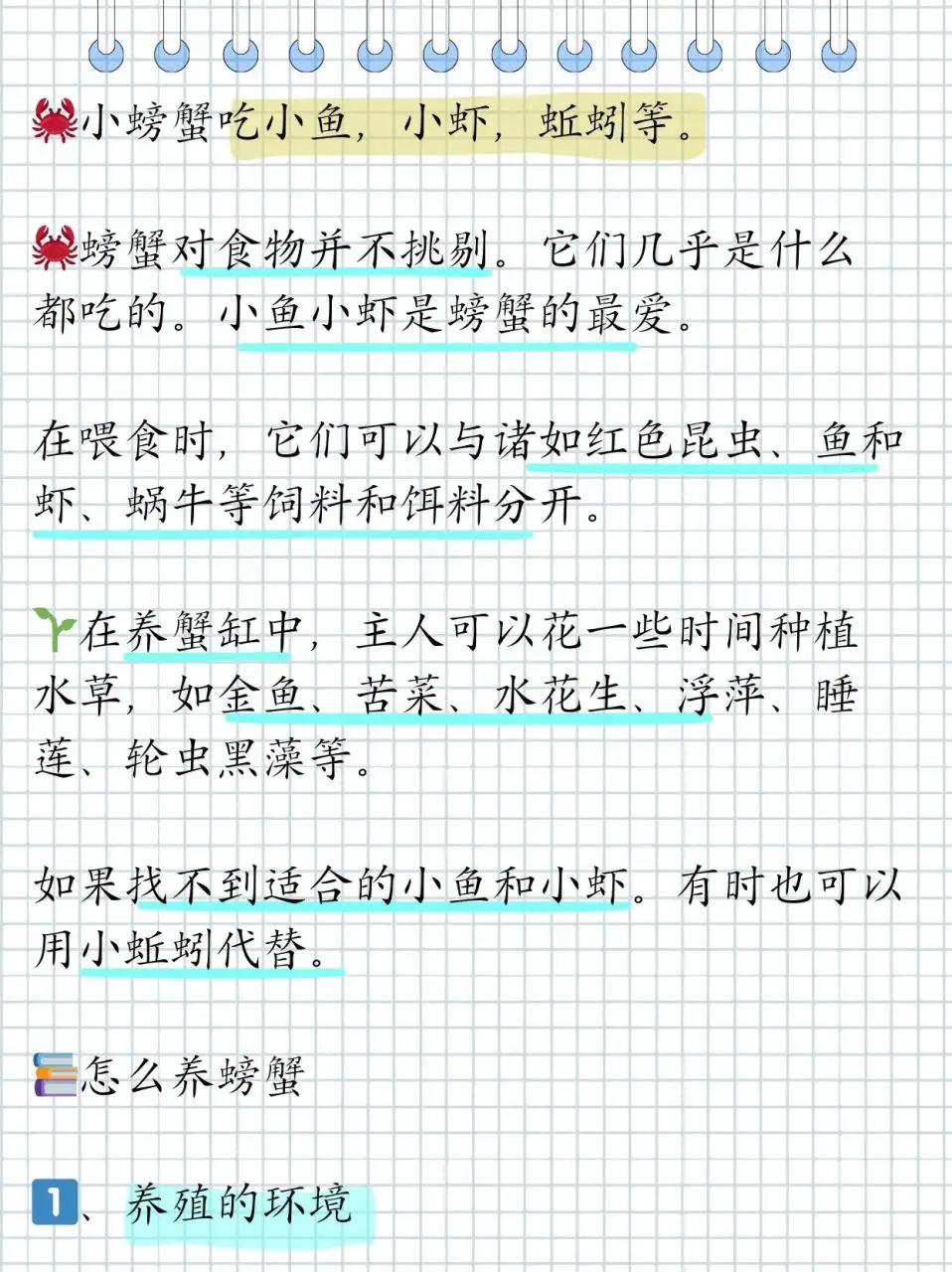 刚出生的小螃蟹吃什么怎么养活(刚出生的小螃蟹怎么养活,小螃蟹吃什么)