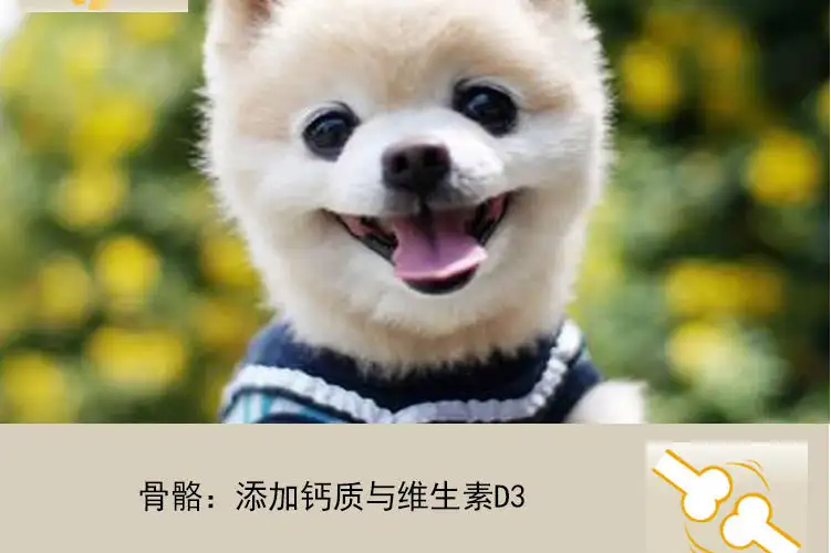 博美狗狗吃什么狗粮(博美小型犬吃什么狗粮最好)