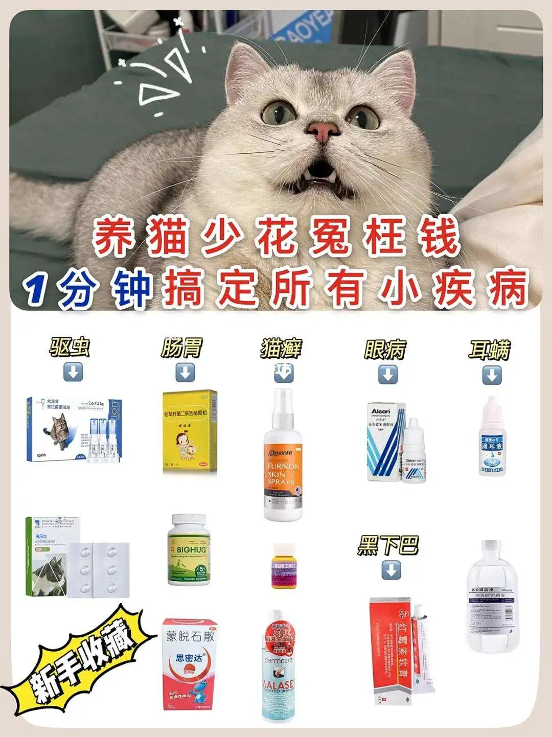 促进猫咪排便的药(帮助猫咪排便有什么药)