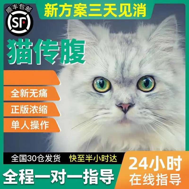 猫咪干性传腹治疗(猫咪干性传腹能自愈吗)