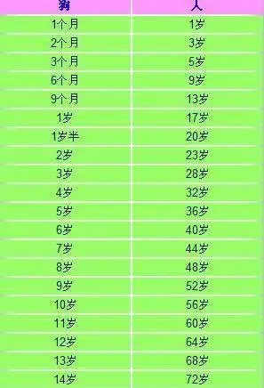 狗狗4个月相当于人几岁(狗狗四个月相当于人类多少岁)