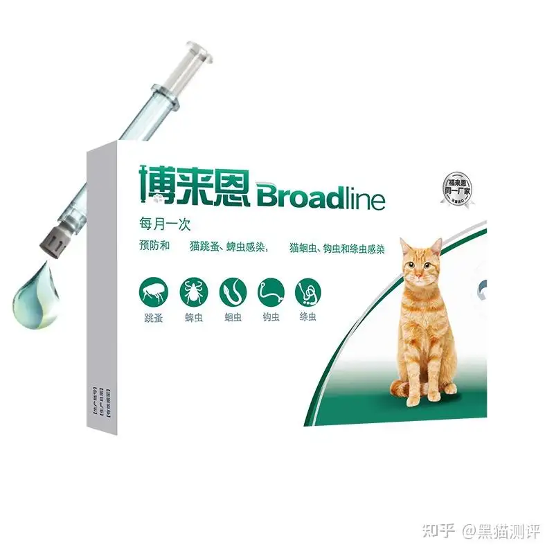 猫咪驱虫一般用什么药(猫咪驱虫一般用什么药水)