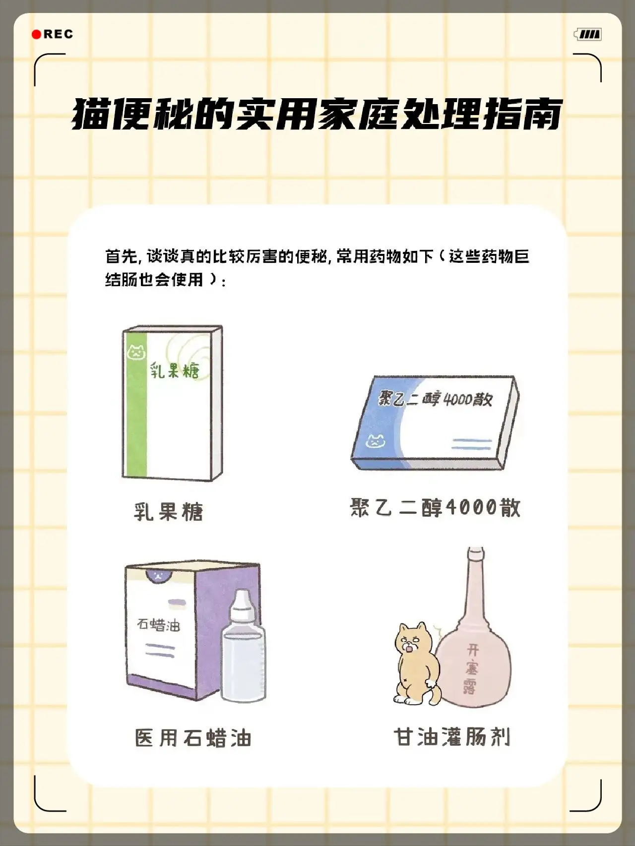 猫猫便秘怎么治疗最有效(猫咪便秘怎么办便秘有哪些症状)