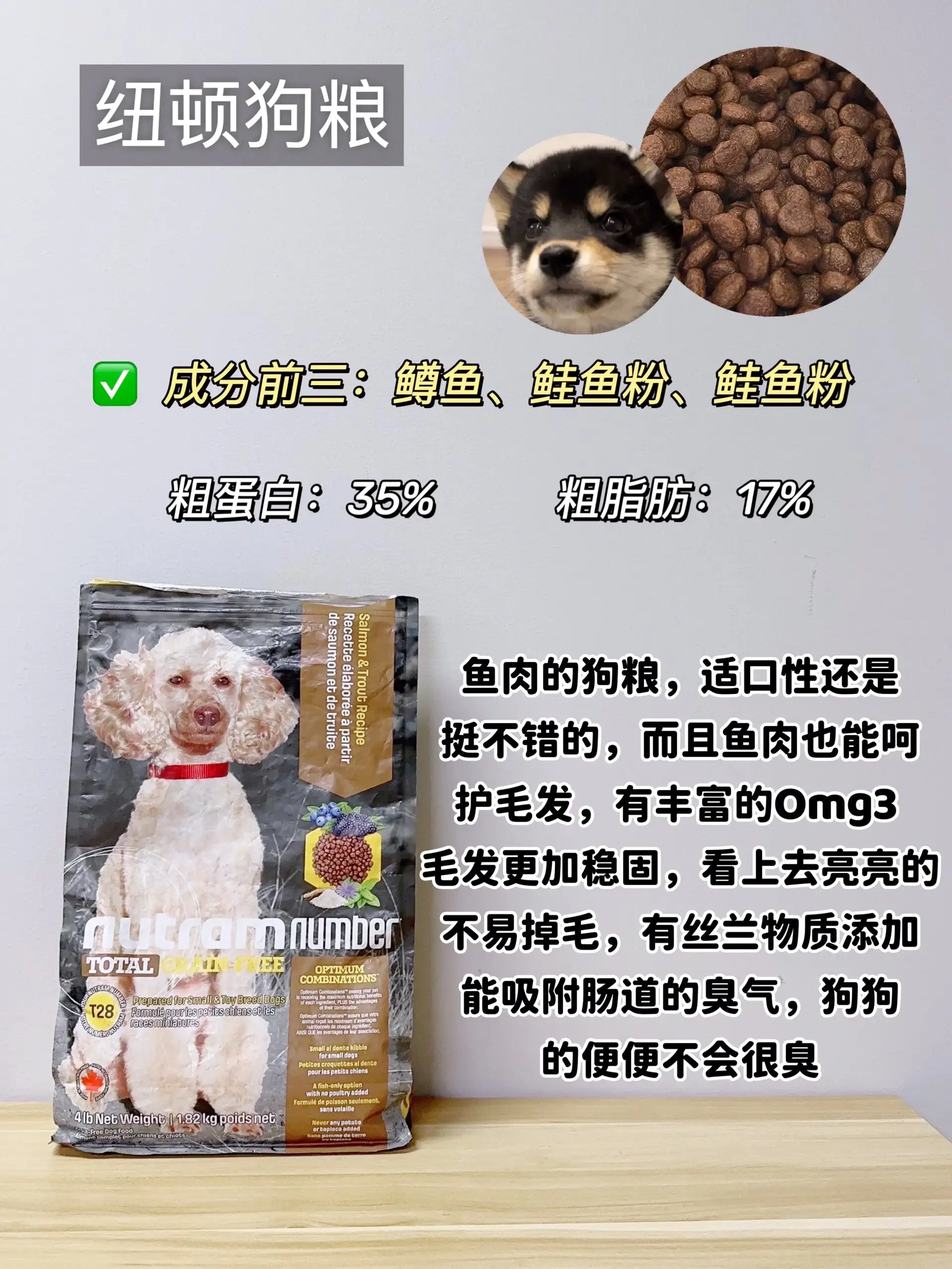 狗狗不吃狗粮该吃什么(狗不吃狗粮了其他的都吃)