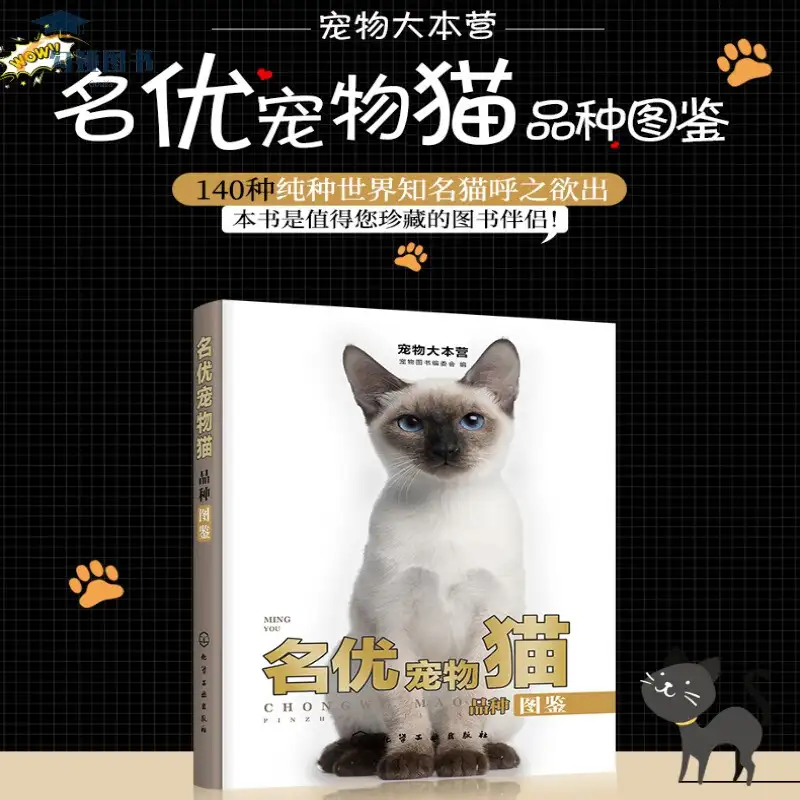 宠物猫的品种及价格推荐(宠物猫的品种及价格图片大全爱吃什么)