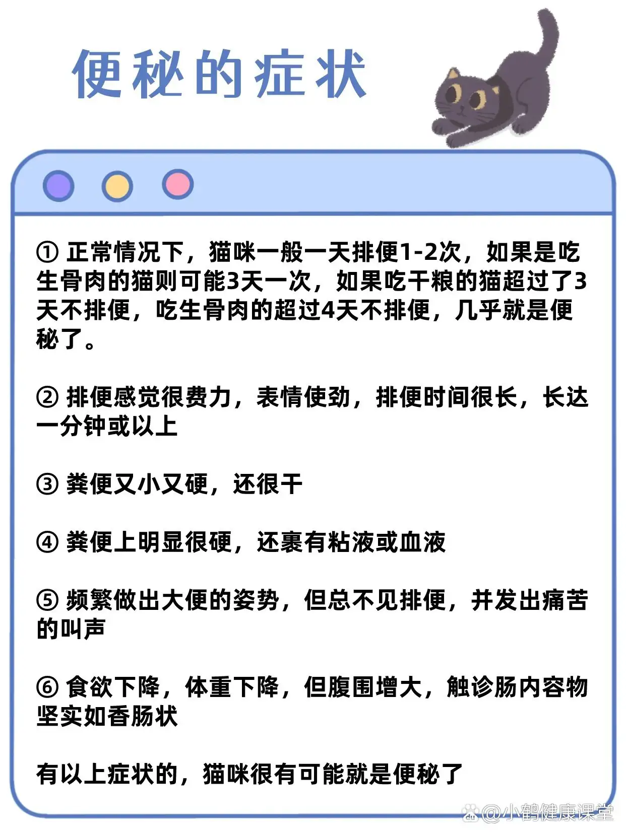 三个月猫咪便秘怎么办(三个月猫拉的屎是什么样的)