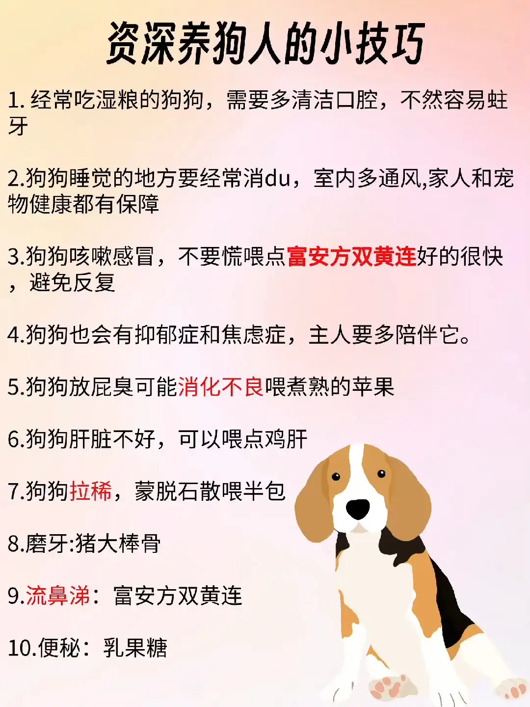 怎么养好小狗狗(怎么养小狗狗视频)