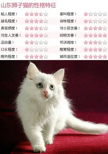 常见的猫有哪些品种(常见的猫有哪些品种名字)