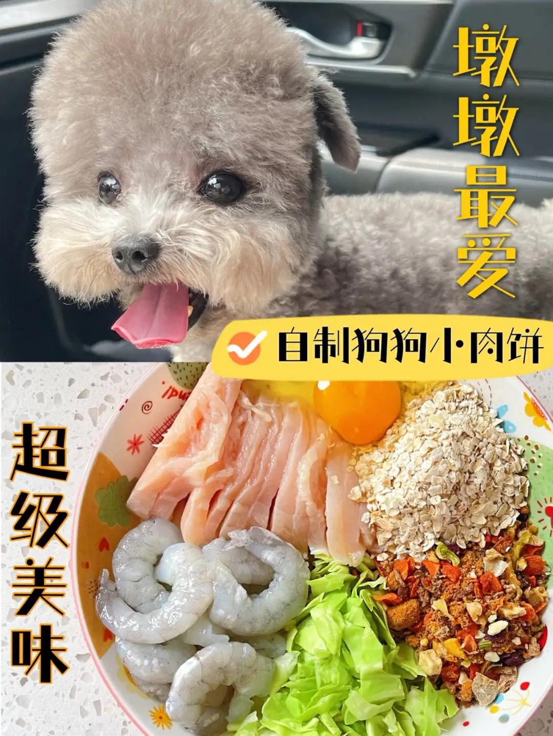 泰迪狗幼犬吃什么狗粮好(国产十大放心狗粮品牌排行榜)