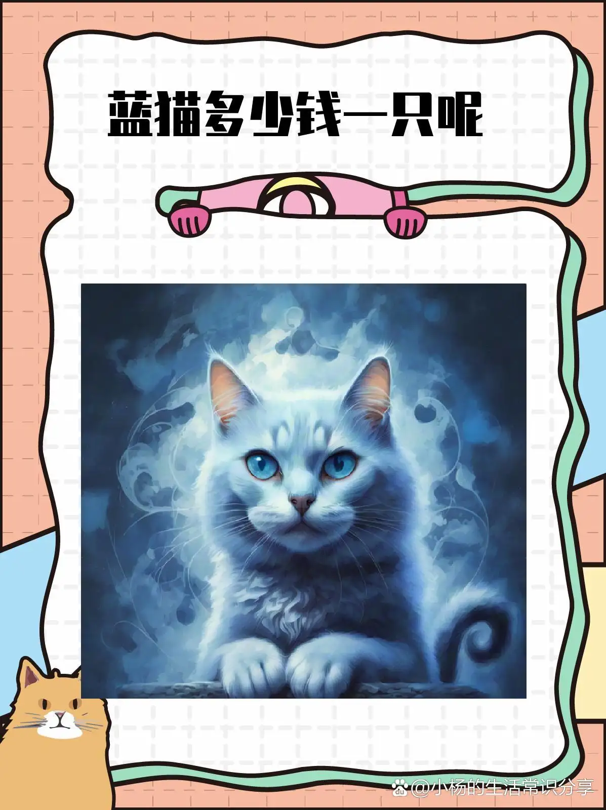 暹猫多少钱一只(暹罗猫一般多少钱一只)