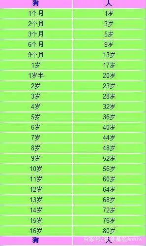 狗的一岁相当人的几岁(狗的一岁相当人的几岁?)