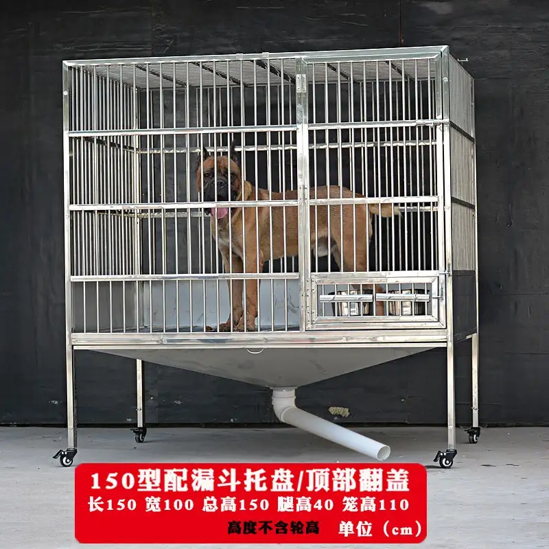 大小型犬(大小型犬的磨牙棒)