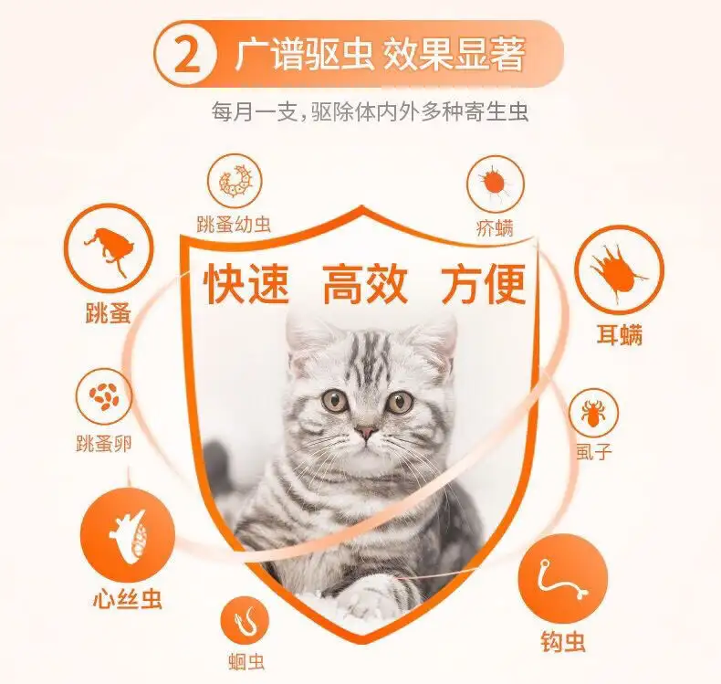 自制猫咪驱虫药水(如何自制猫咪体外驱虫药)