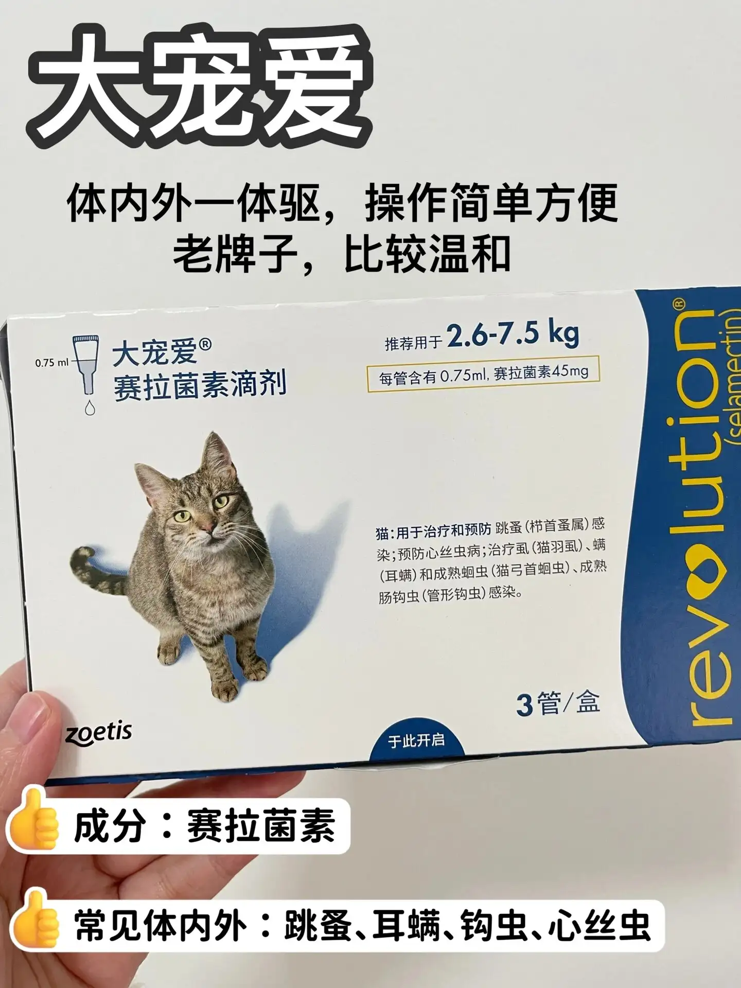 猫驱虫药什么时候吃最好(猫驱虫药什么时候吃最好呢)