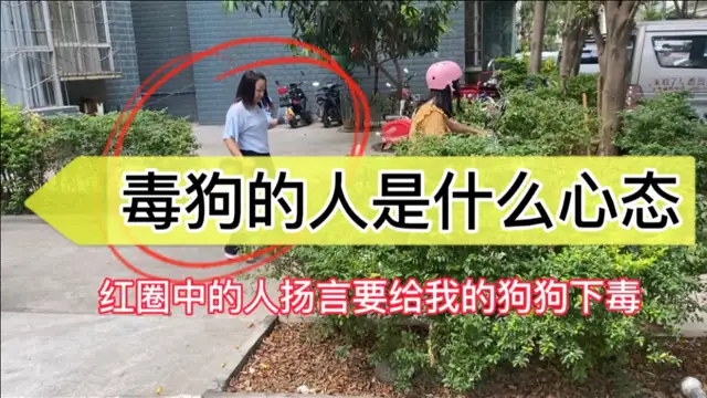 小狗被人毒死了是什么征兆(狗狗被毒死了是替主人挡灾吗)