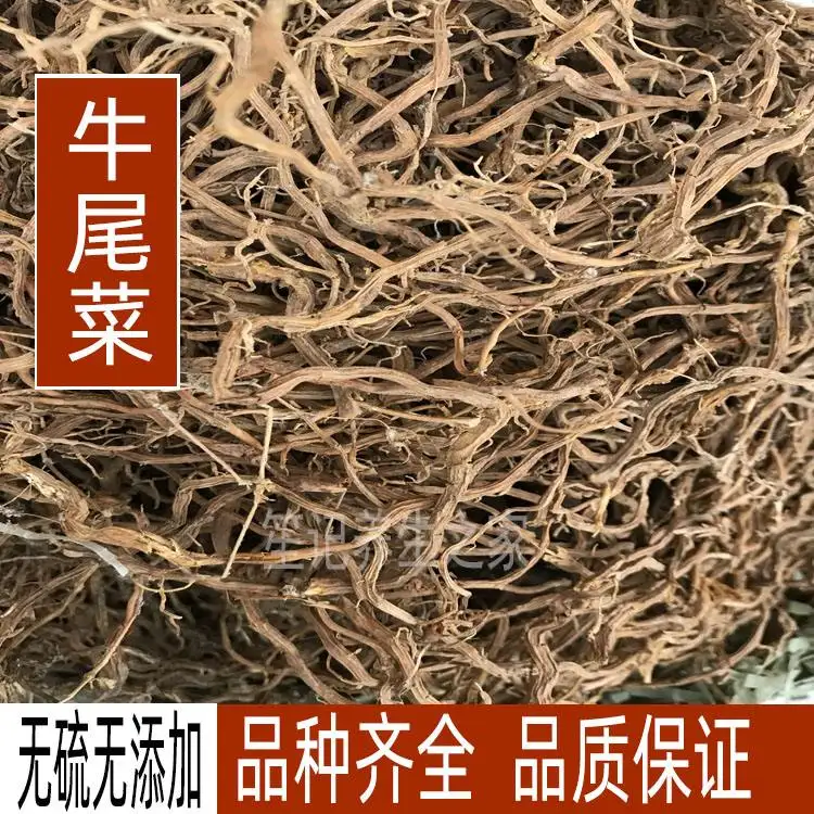 牛尾巴的功效作用(女人喝牛尾汤的功效与作用)