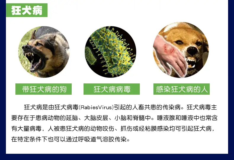 犬瘟热病毒在家能存活多久(犬瘟热病毒在空气中多久会死亡)