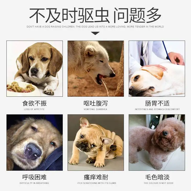 狗狗的体内开始驱虫(狗狗体内驱虫多长时间)