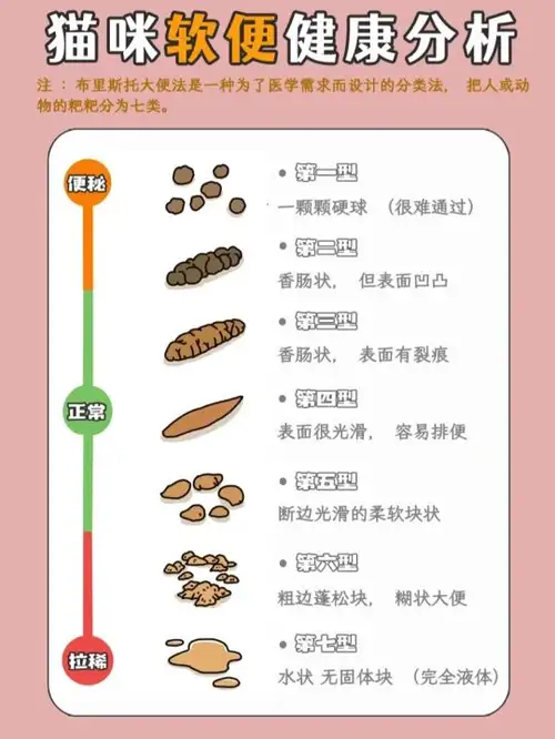 猫便秘不拉屎怎么办(猫便秘不拉屎怎么办吃什么药)