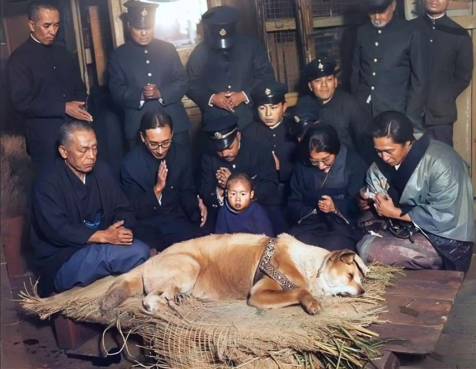 忠犬八公涩谷(忠犬八公日本版叫什么名字)