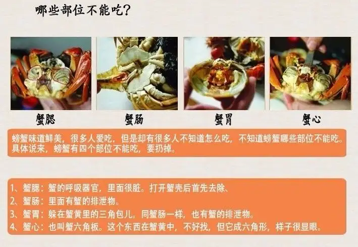 吃蟹吃什么(吃蟹吃什么主食)