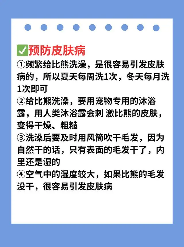 养比熊需要注意什么(养比熊需要注意什么细节)