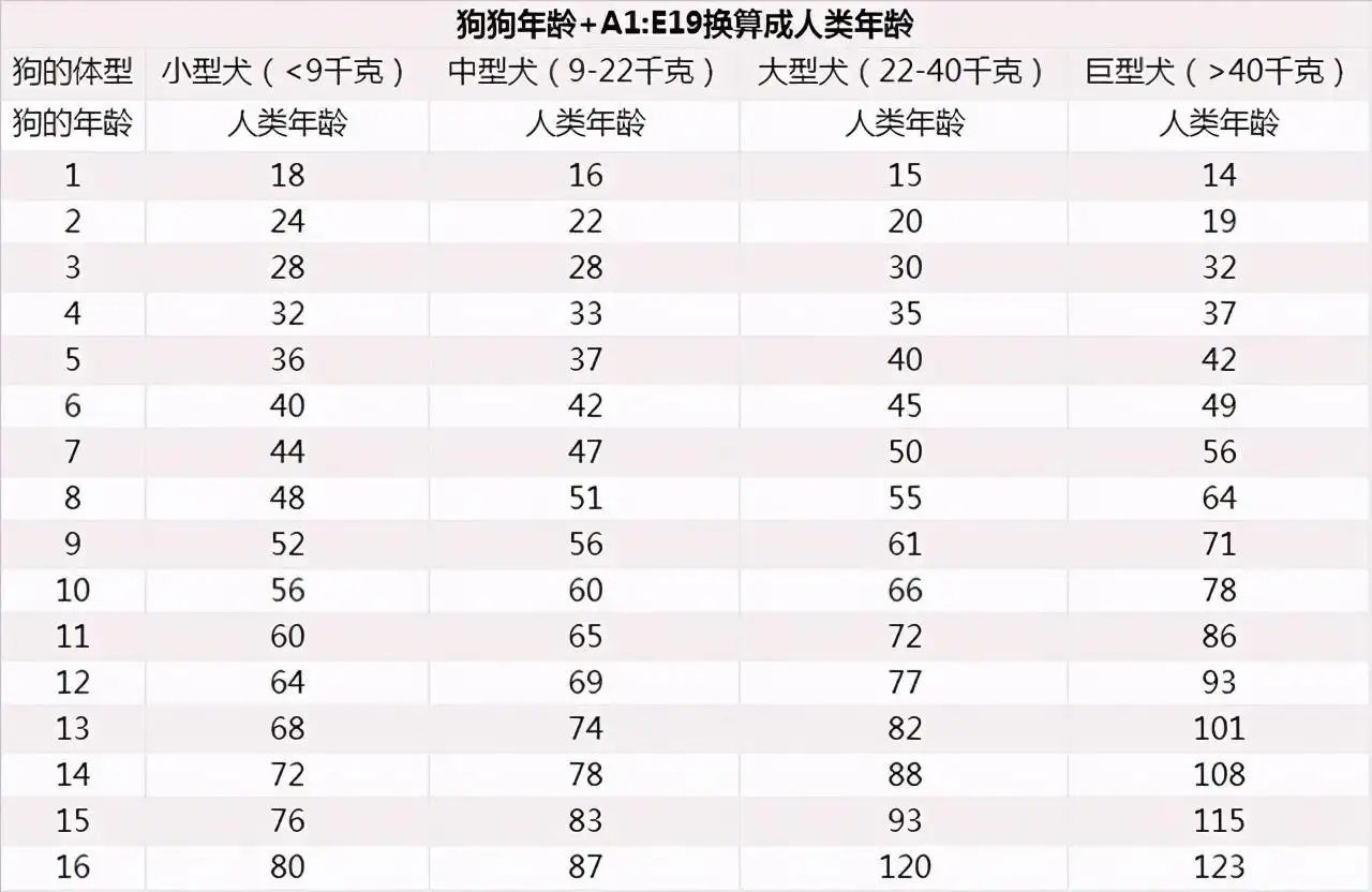 狗狗9年相当于人几岁(9年的狗狗算不算是老年了)