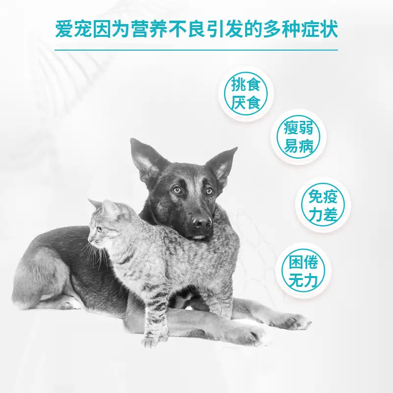 孕猫(孕猫拉肚子怎么办)