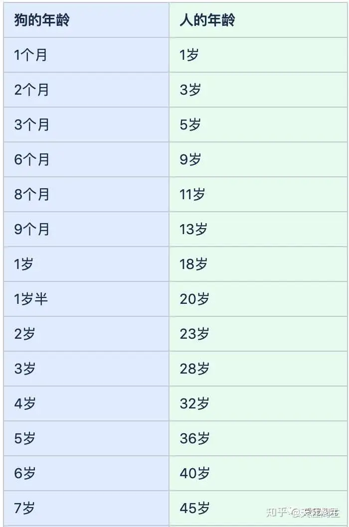 狗9年相当于人多少岁的简单介绍