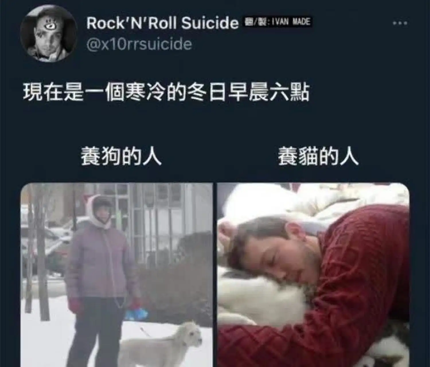 养狗不养猫是什么意思(男人养猫是因为生理需求吗)