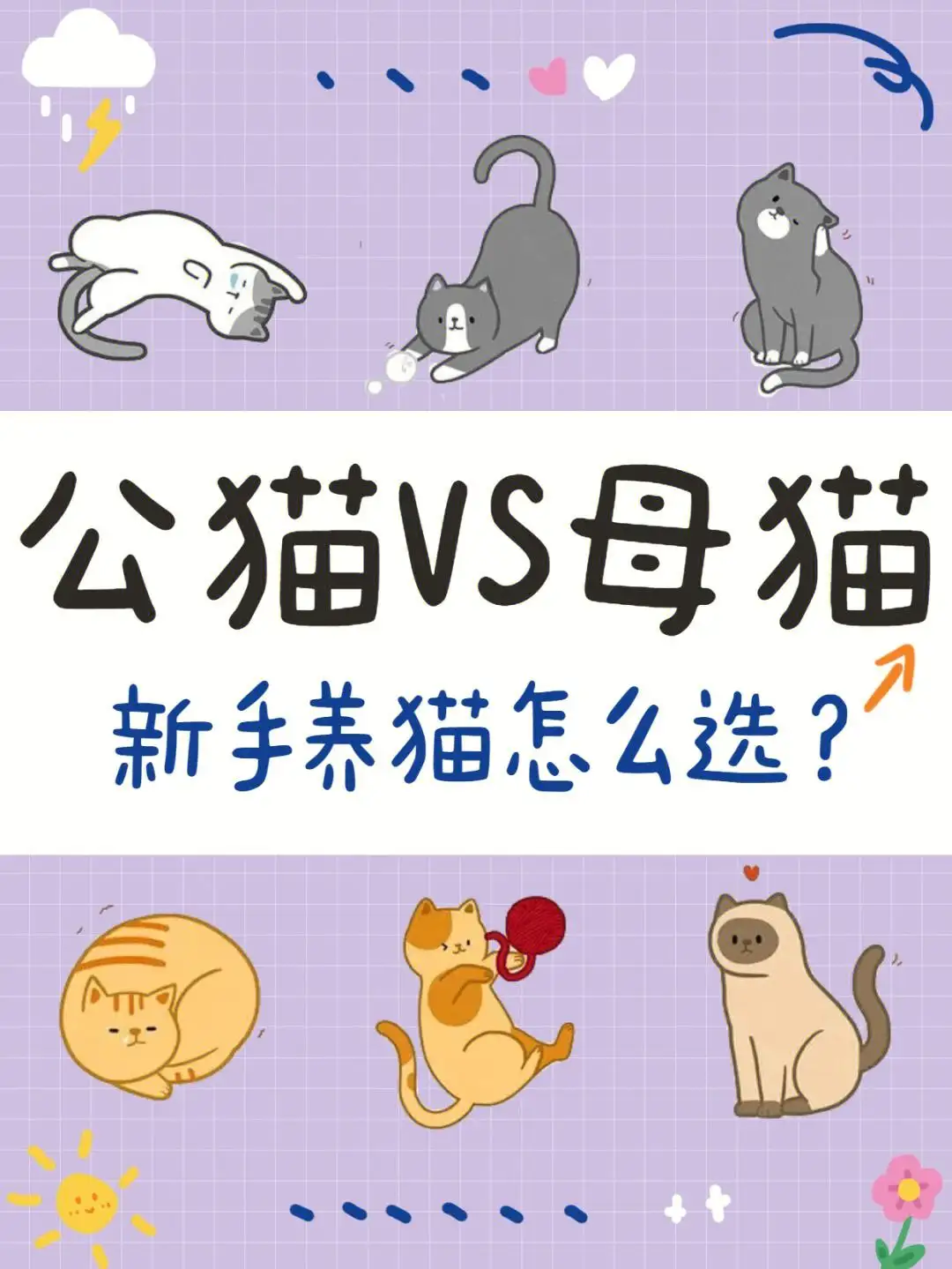 母猫好养还是公猫好养(母猫好养还是公猫好养一些)