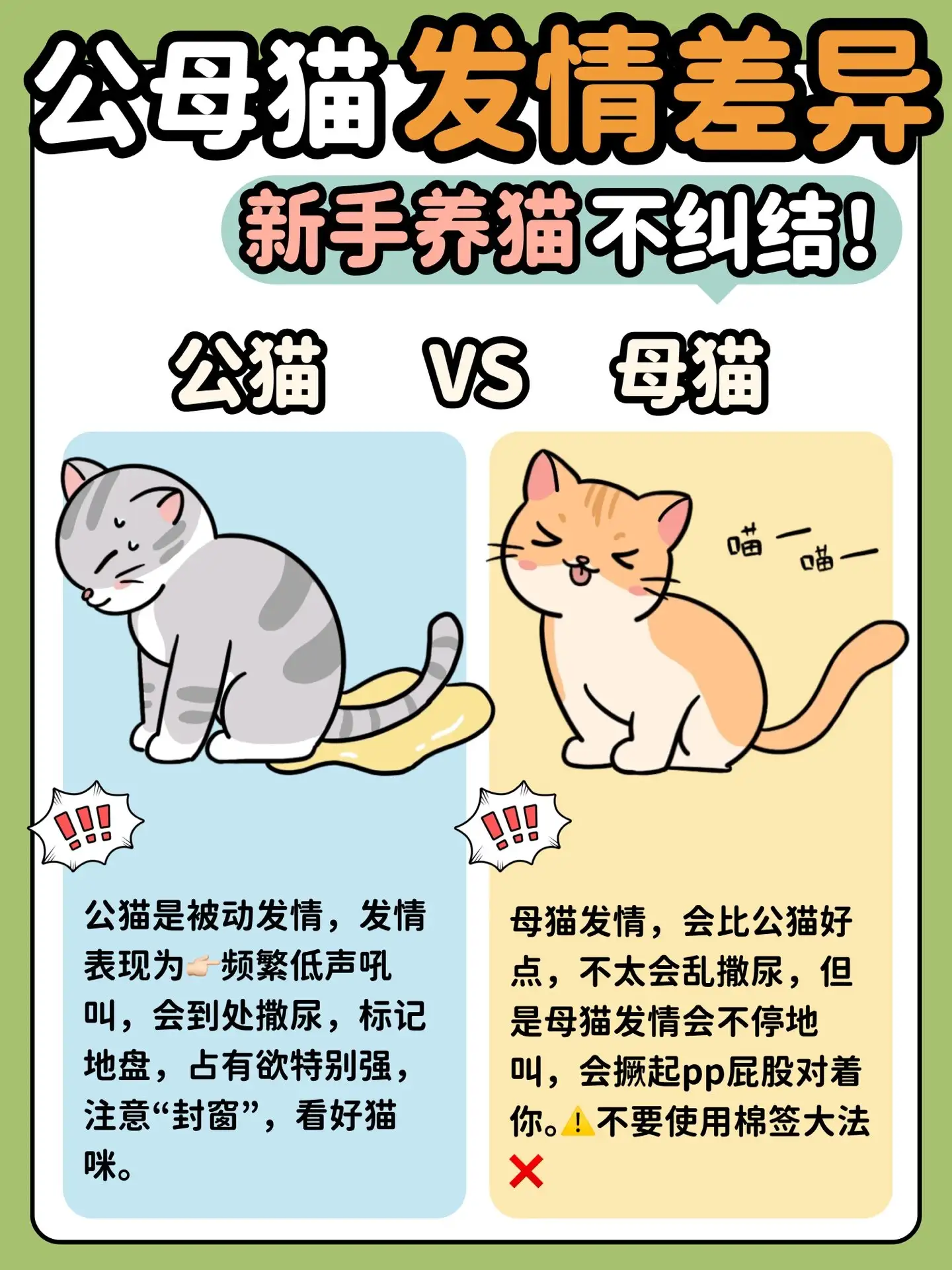 母猫好养还是公猫好养(母猫好养还是公猫好养一些)