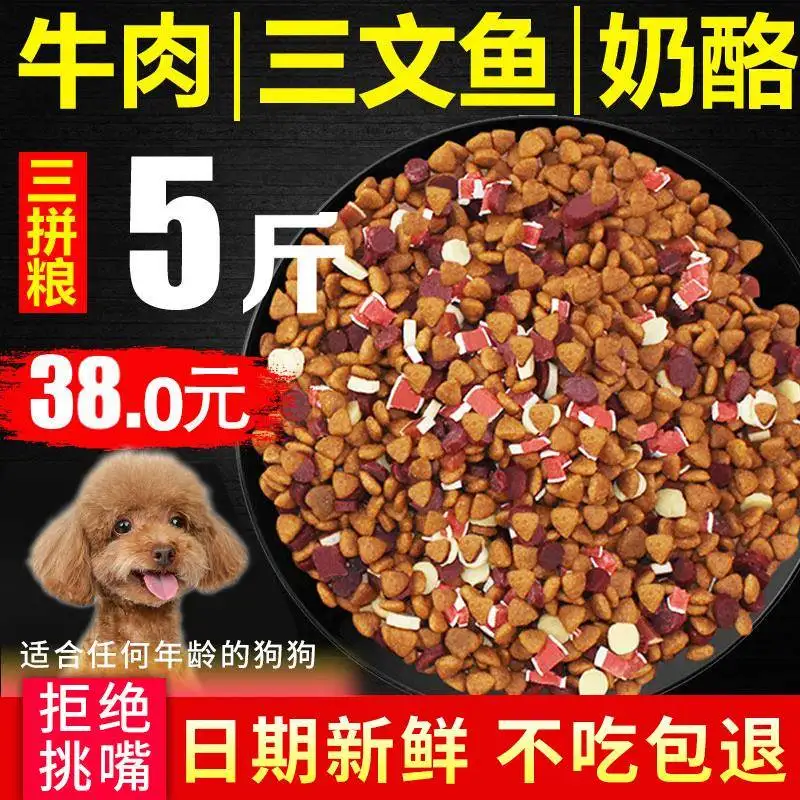 小狗狗吃狗粮有什么好处(狗狗不吃狗粮怎么办但是却吃零食)