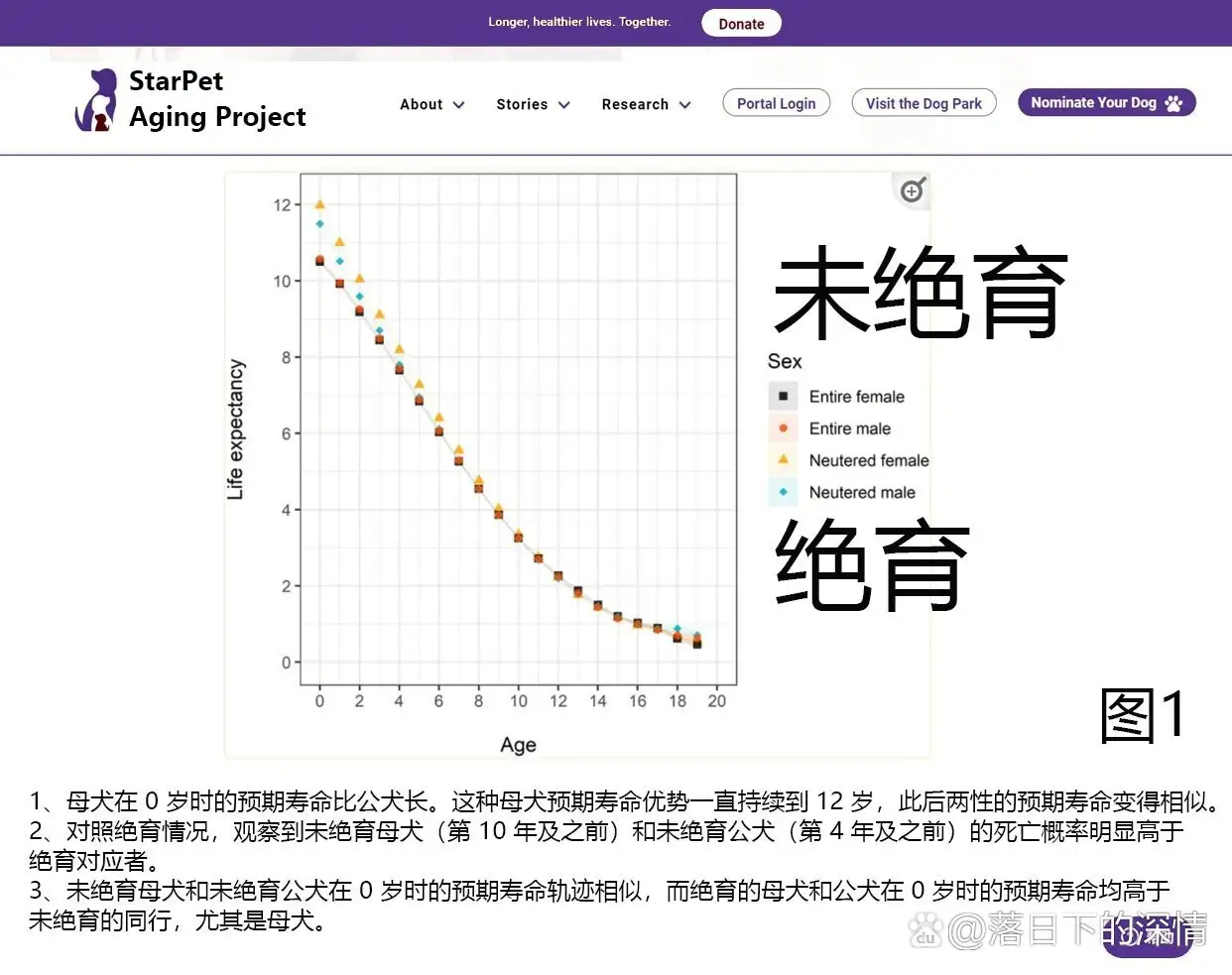 狗狗绝育会延长寿命吗(狗狗绝育会延长寿命吗视频)