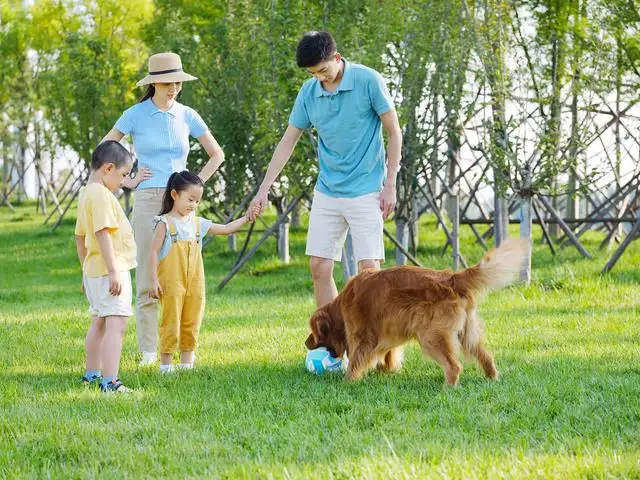 养狗对小孩子的好处(为什么养小孩不建议养狗)