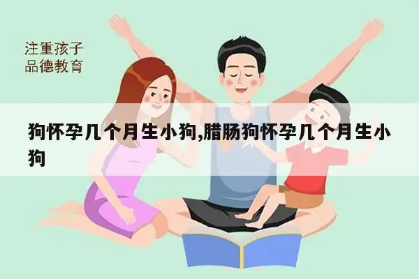 狗多久生宝宝怀孕几个月生产(狗多久生宝宝怀孕几个月生产正常)