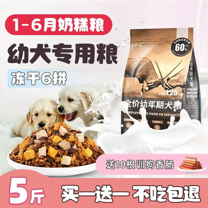 金毛幼犬什么时候可以吃狗粮的简单介绍