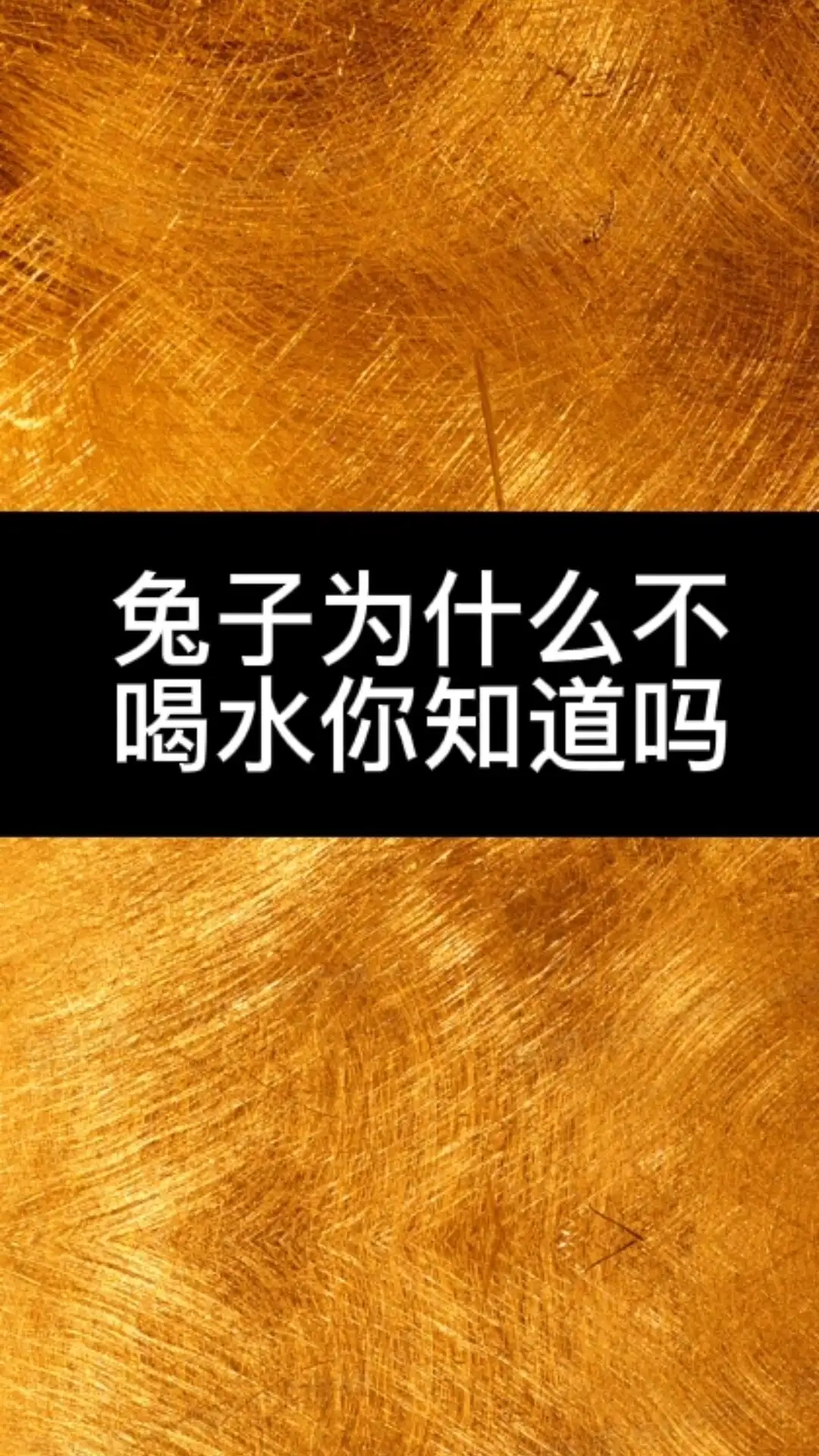 兔子喝水为什么会死(兔子喝水为什么会死了)