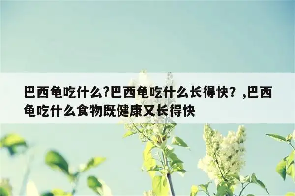 吃龟有什么好处和坏处(吃龟有什么好处和坏处吗)