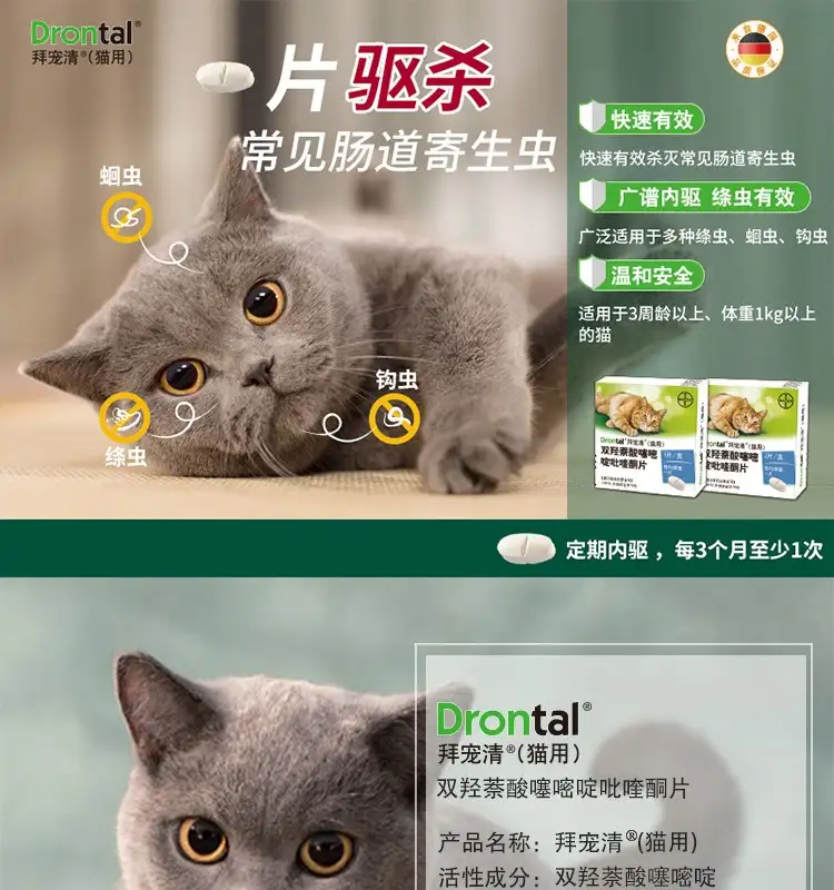 猫体内没有虫可以吃驱虫药吗(小猫没有驱虫子吃益生菌有用吗)