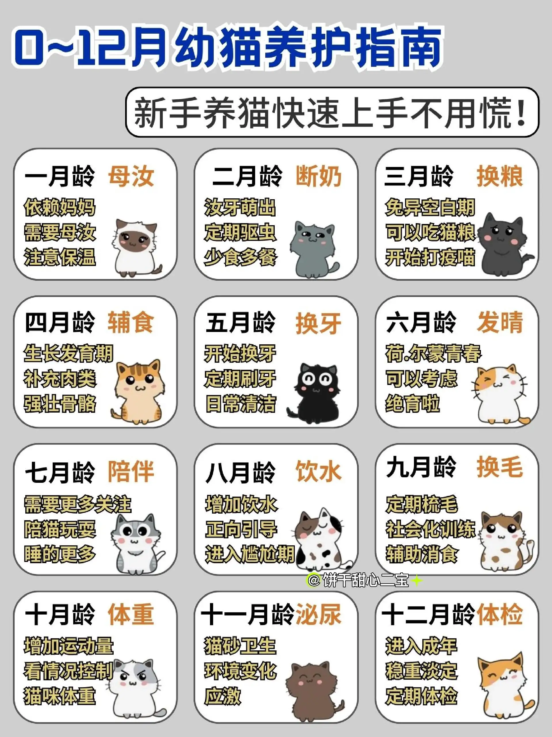 猫猫能活多久(猫猫可以活多久)