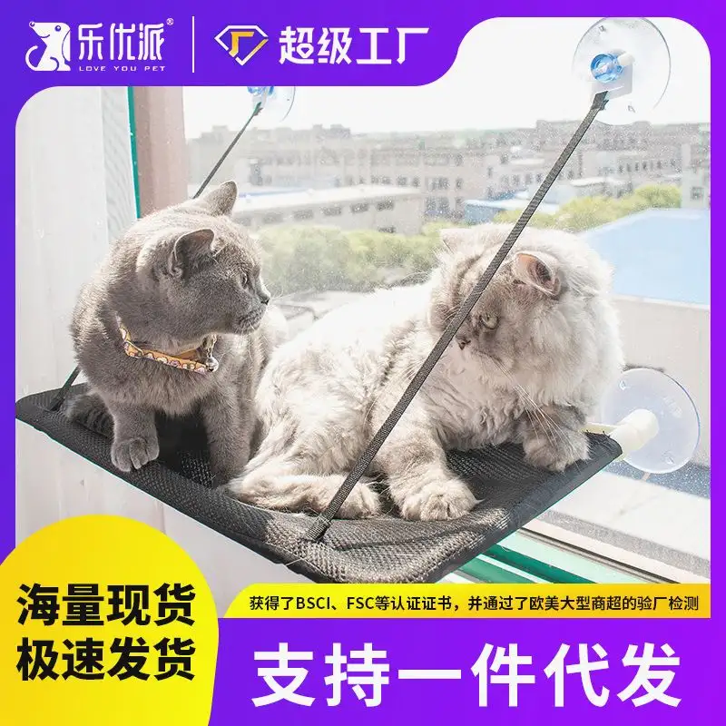 猫咪猫咪猫咪猫咪猫咪叫的简单介绍