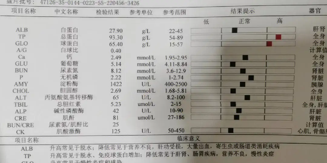 干性猫传腹能活多久(干性猫传腹能彻底治愈么)