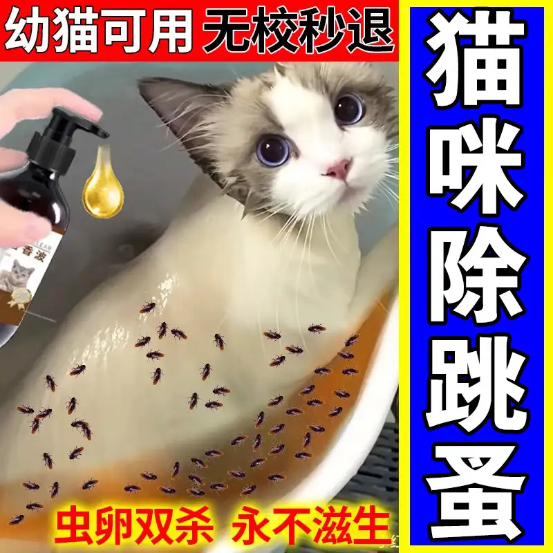 宠物猫猫外驱虫(猫外驱虫多少钱一次)